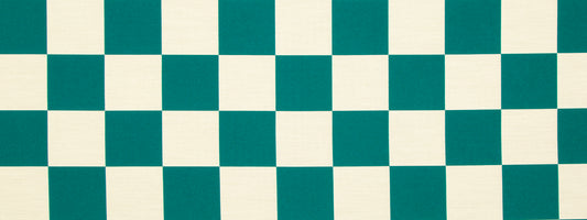 Robert Allen Contract All In Check | Azzura  Upholstery     - 238868