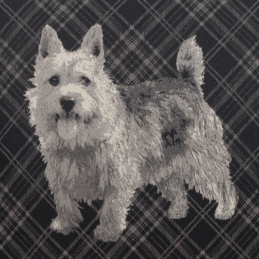 White fluffy West Highland Terrier standing on dark plaid fabric backdrop, tongue visible.