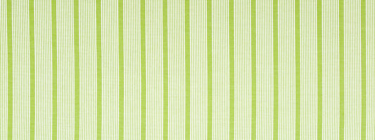 Robert Allen Aloha Stripe | Spring Grass  Upholstery     - 242285