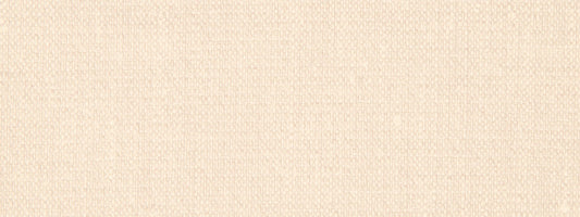 Robert Allen Contract Canvas Texture | Raffia  Upholstery     - 242959