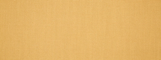 Robert Allen Sweet Solid | Caramel  Multipurpose     - 243232