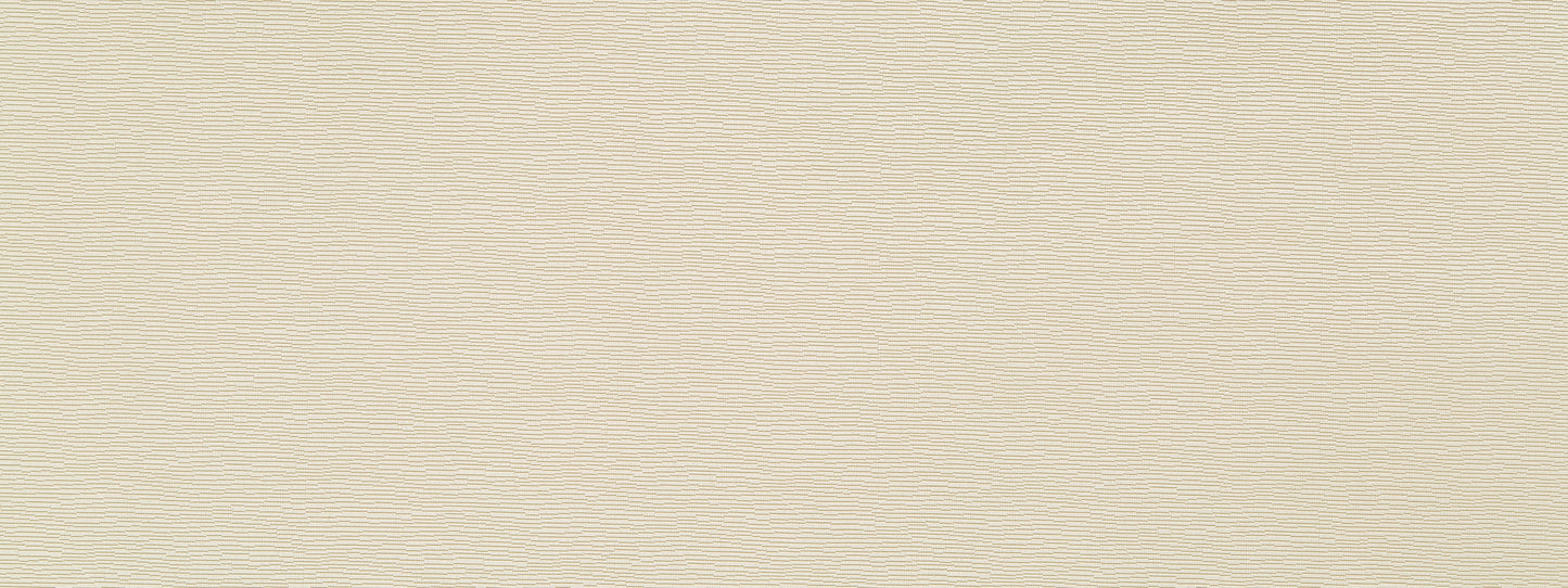 Robert Allen Becko | Birch  Multipurpose     - 243281