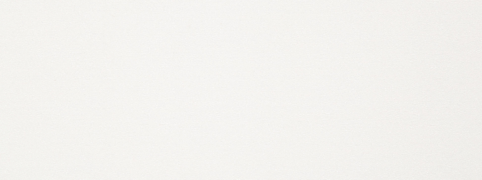 Plain white textured backdrop with subtle speckling and soft gradient.