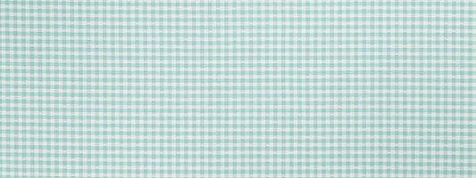 Robert Allen Betsy Gingham | Water  Multipurpose     - 244325