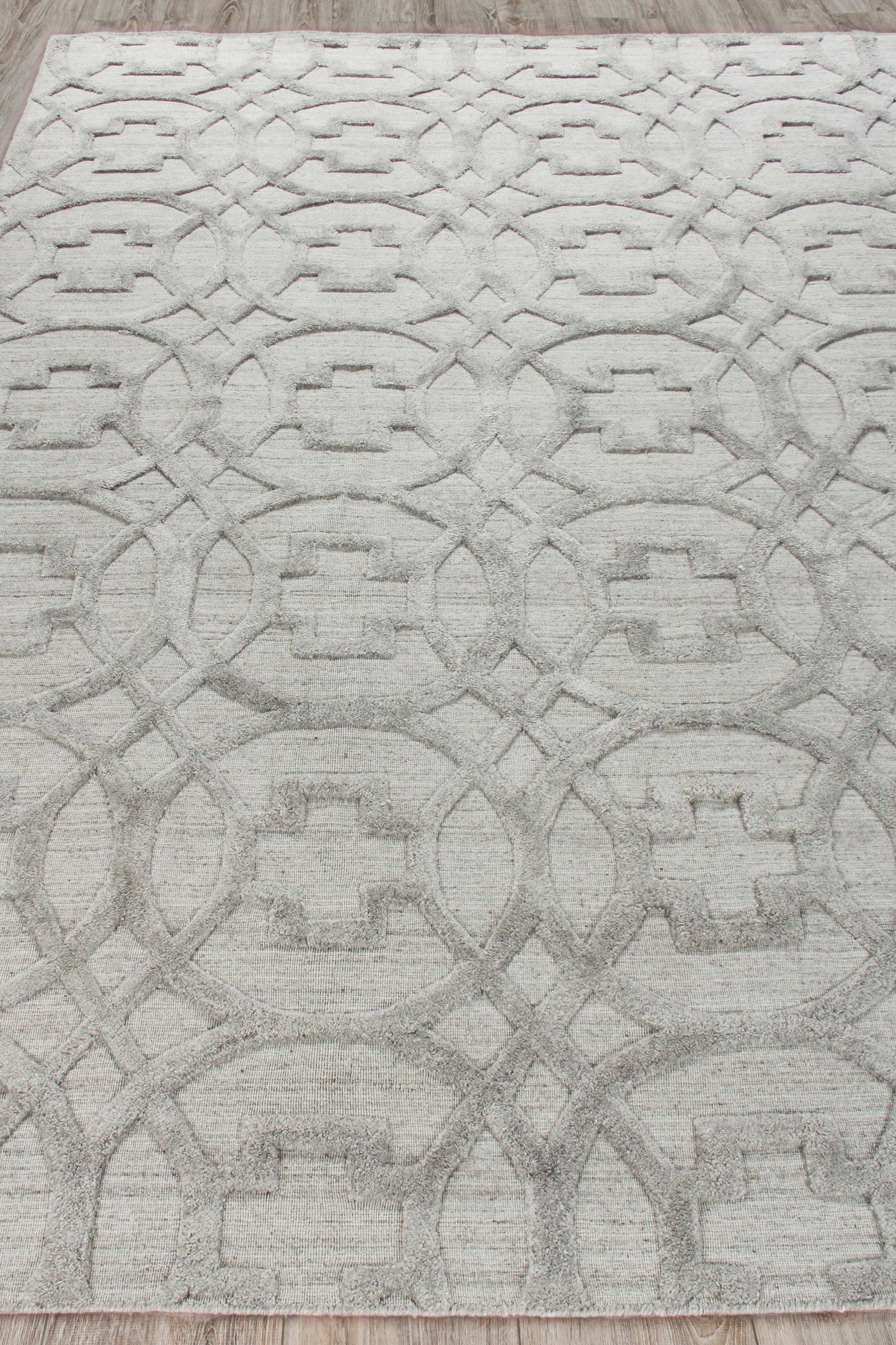 Light gray area rug with a subtle geometric lattice pattern of interlocking circles and squares; contemporary style.