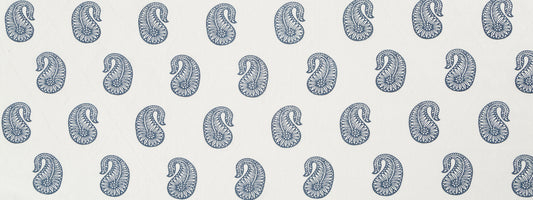 Robert Allen Pazette | Mussel Shell  Multipurpose     - 248328