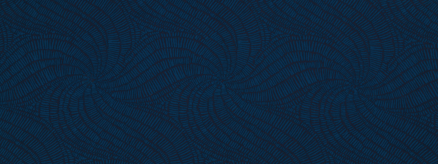 Robert Allen @ Home Gibbs Swirl | Calypso  Multipurpose     - 249893