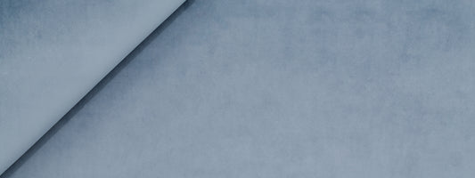 Robert Allen Touche | Mussel Shell  Multipurpose     - 252062