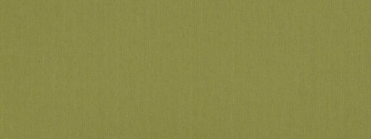 Robert Allen Linen Endure | Spring Grass  Upholstery     - 256815