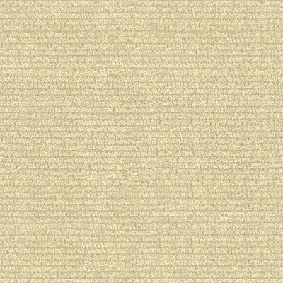 KRAVET DESIGN INDOOR / OUTDOOR TEXTURE IVORY,IVORY,   - 25763.16.0