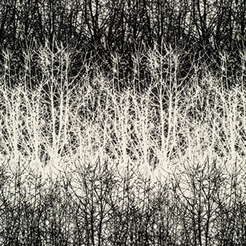 SCHUMACHER  MODERN NATURE BIRCHES PRINTS PRINTS BLACK   - 2644021