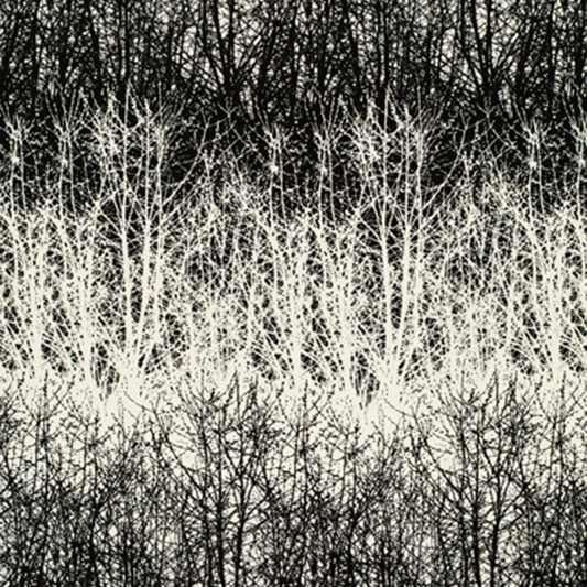 SCHUMACHER  MODERN NATURE BIRCHES PRINTS PRINTS BLACK   - 2644021