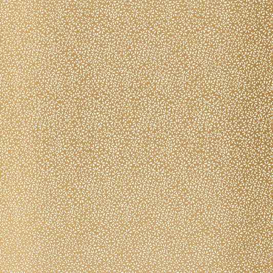 SCHUMACHER  MODERN GLAMOUR KYOUSHA SILK SILKS & SATIN SILKS & SATIN CHAMPAGNE   - 2644521