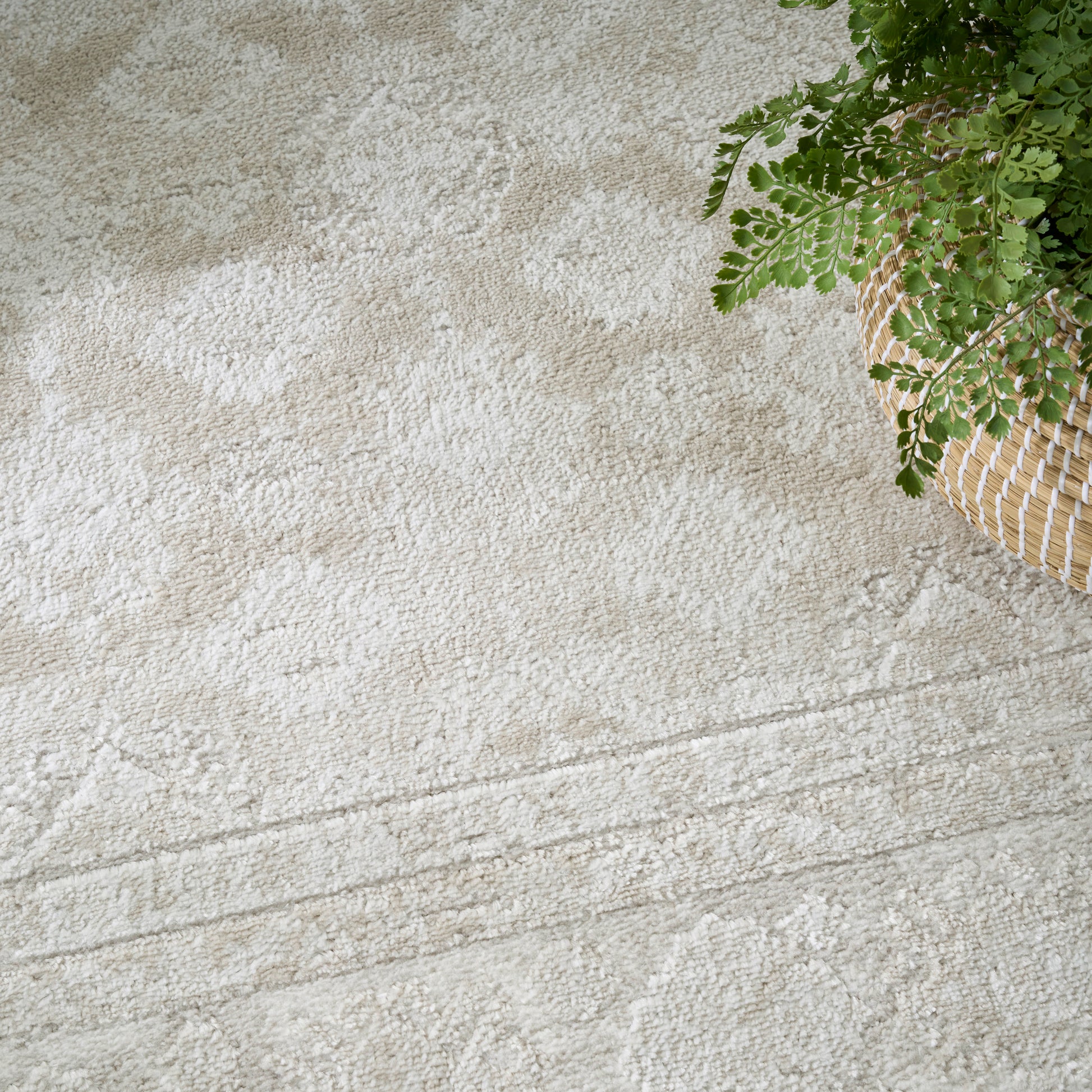 Beige patterned rug with subtle floral motifs; woven texture, corner wicker basket with green fern.