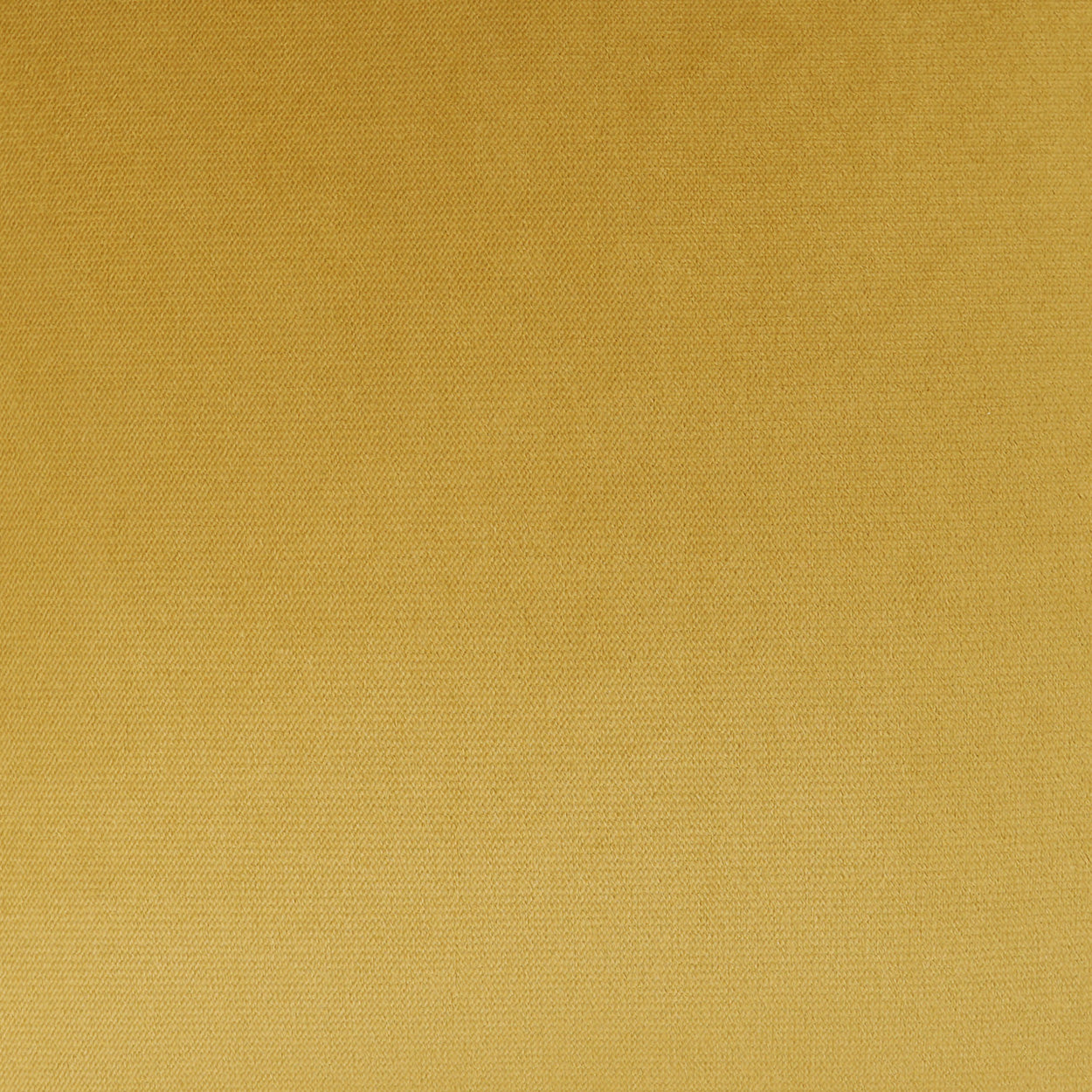 Mustard yellow woven fabric texture, close-up with a tight, fine grid pattern.