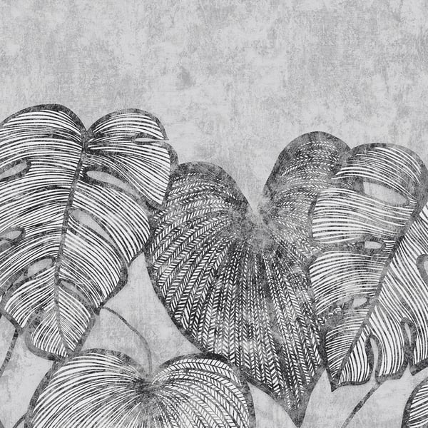 Grayscale wallcovering featuring overlapping monstera leaves on a textured gray background.