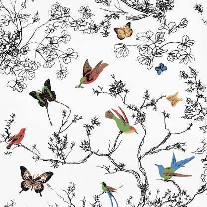 SCHUMACHER WALLCOVERING  EXUBERANT PRINTS BIRDS & BUTTERFLIES   MULTI ON WHITE   - 2704420
