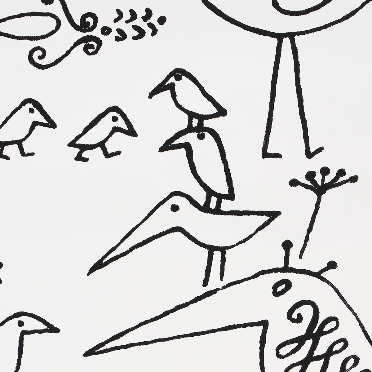 SCHUMACHER WALLCOVERING  EXUBERANT PRINTS AVIARY   BLACK ON WHITE   - 2705510