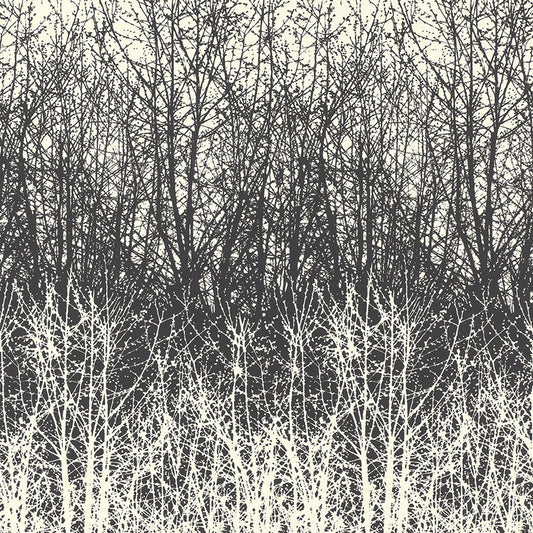 SCHUMACHER  MODERN NATURE BIRCHES   BLACK,WHITE   - 2707243