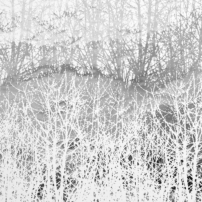 Grey-scale forest wallpaper with white bare-tree silhouettes; abstract winter design for walls.