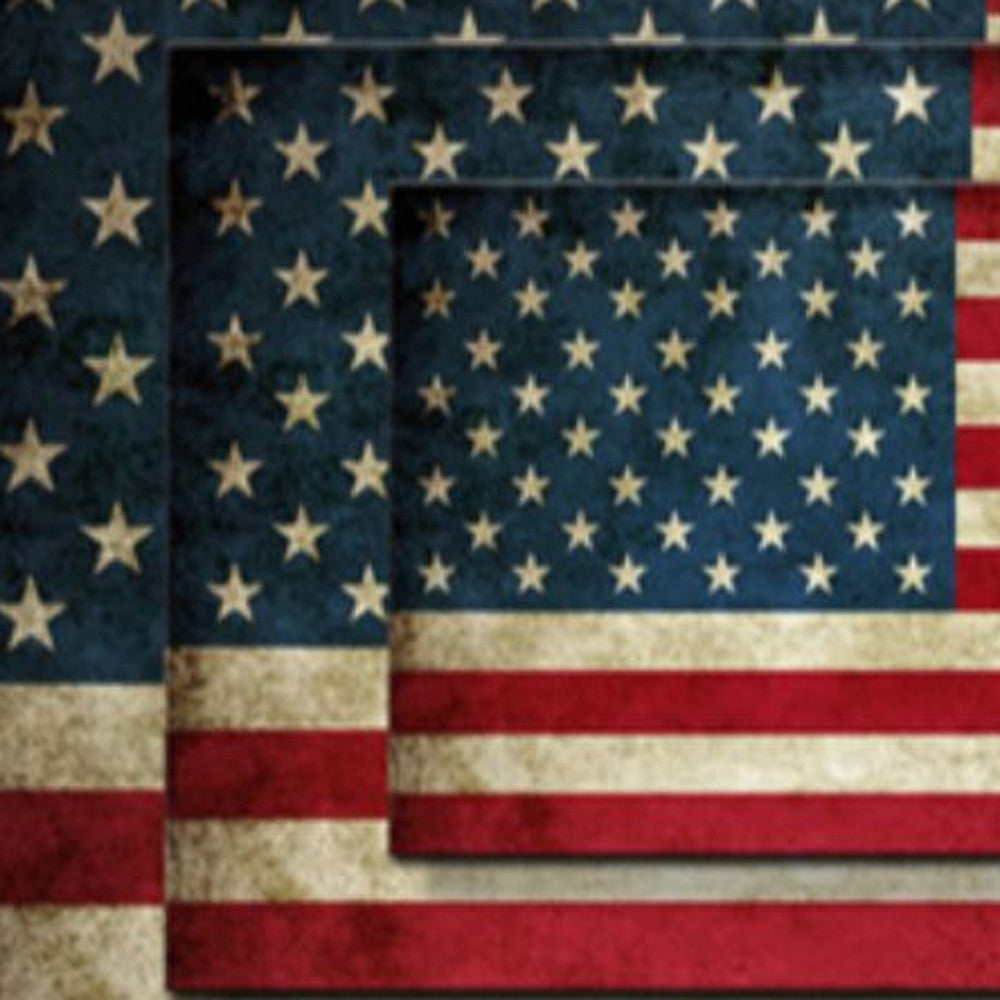 America flag Unframed Print Wall Art