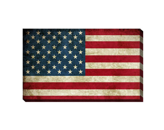 USA Flag Canvas Print Wall Art 2 Piece Set Wall Art