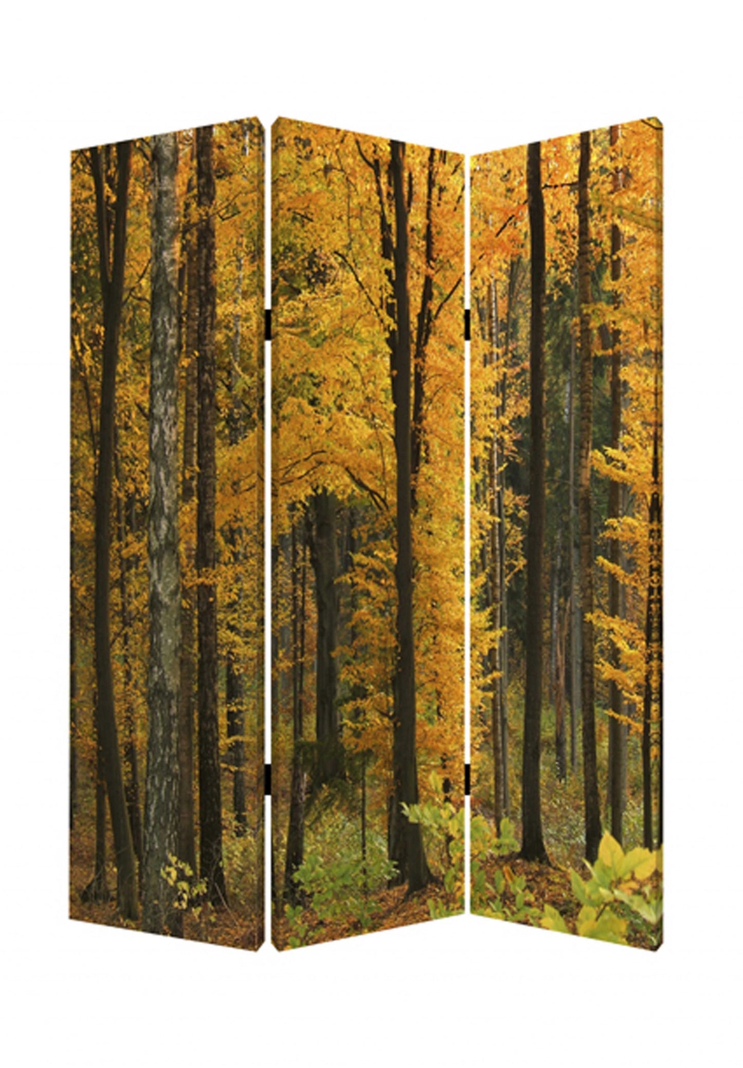 48 X 72 Multi Color Wood Canvas Autumn Journey  Screen