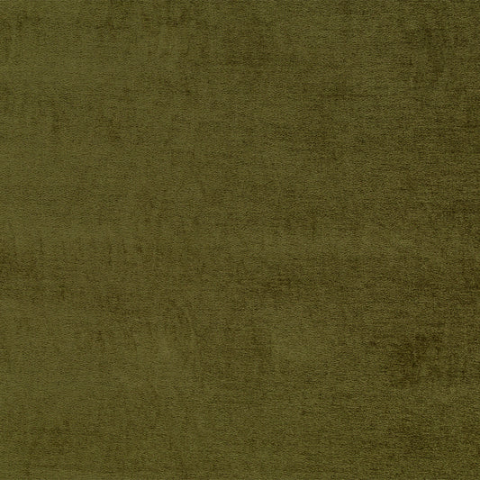 Duralee Monogram 190128H | 22-Olive  Upholstery     - 275131