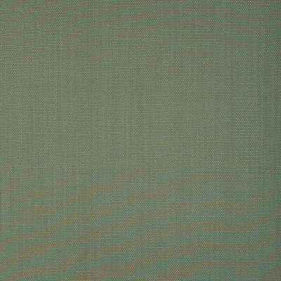 KRAVET BASICS  TEXTURE CELERY,GREEN,   - 27591.2332.0