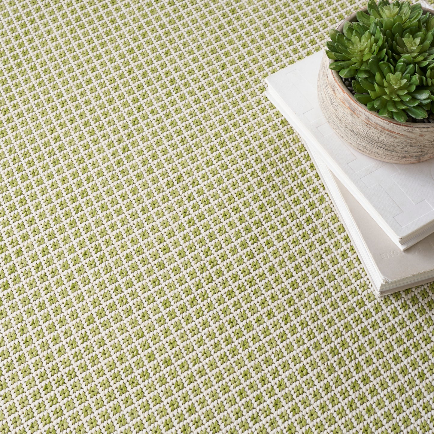Green & white checkered rug, with a potted succulent and white stacked books.