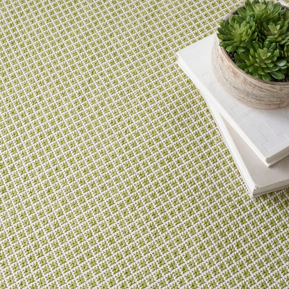 Green & white checkered rug, with a potted succulent and white stacked books.