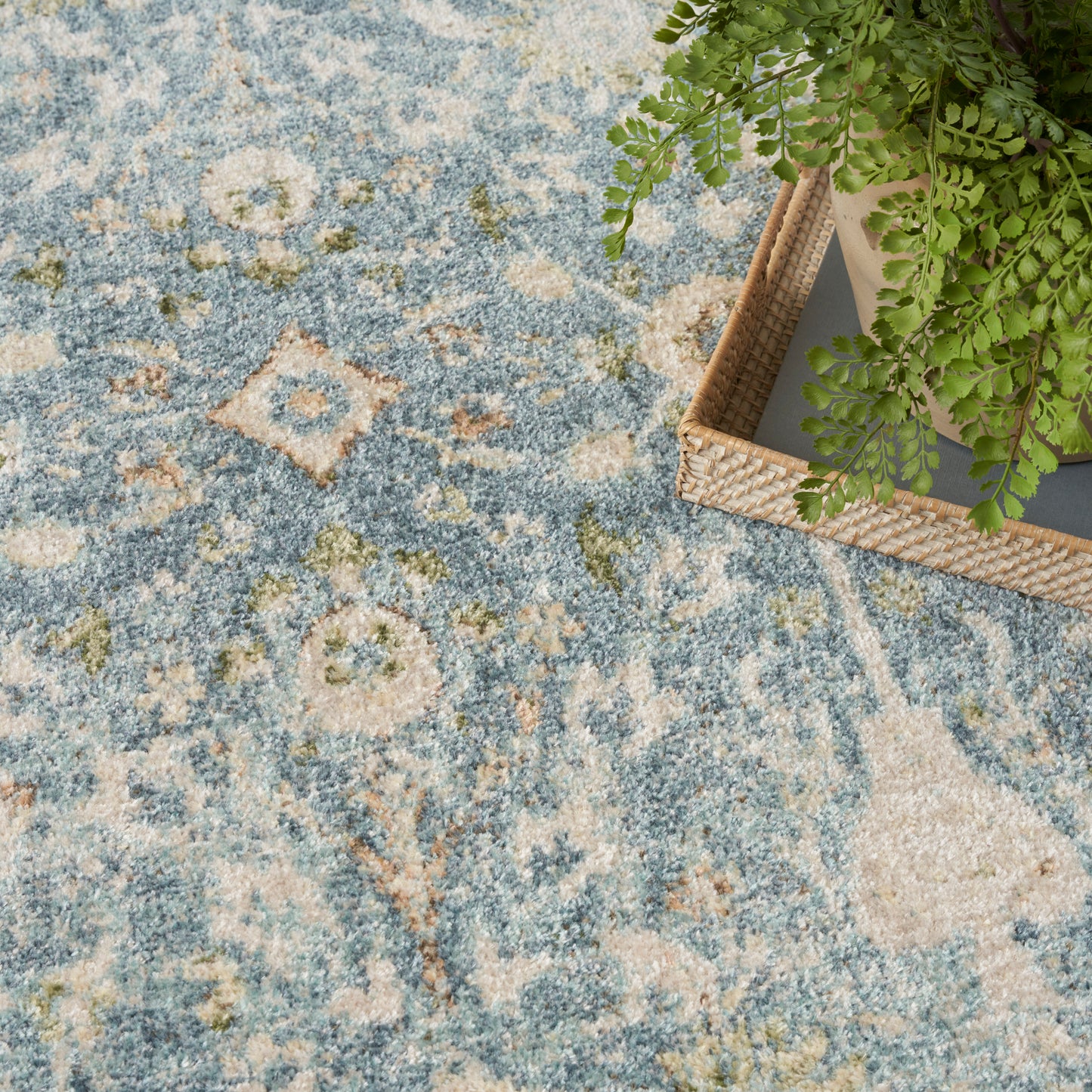 Blue and beige patterned area rug with floral/medallion motifs; green fern in a wicker basket sits on the top-right.