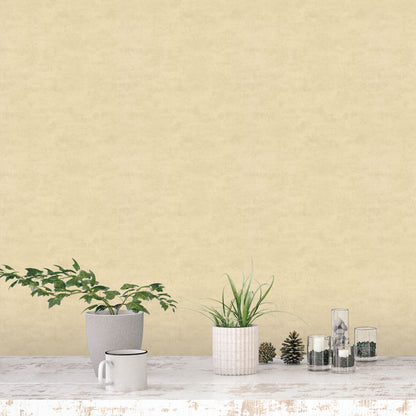 GALERIE WALLCOVERINGS Nordic Elements    Cream   - 28150202