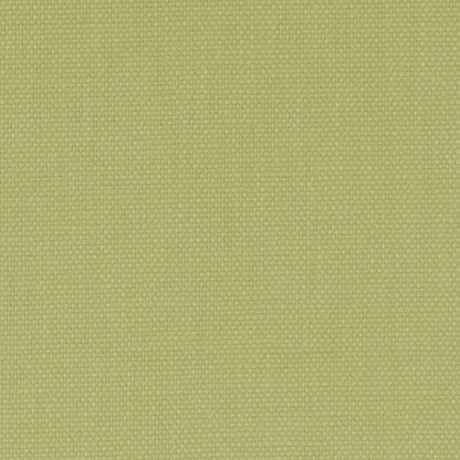 Light pistachio-green textured woven fabric swatch with plain weave, ideal for upholstery and home textiles.