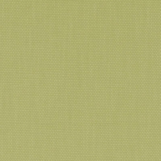 Light pistachio-green textured woven fabric swatch with plain weave, ideal for upholstery and home textiles.