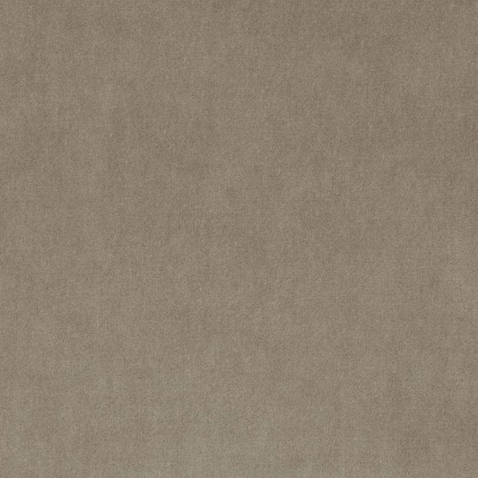 Duralee 36208 | 319-Chinchilla  Upholstery     - 287297