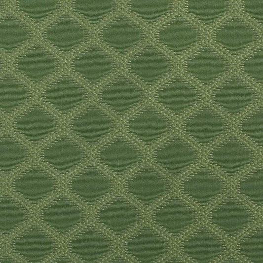Duralee 15578 | 597-Grass  Upholstery Fabric    - 287489