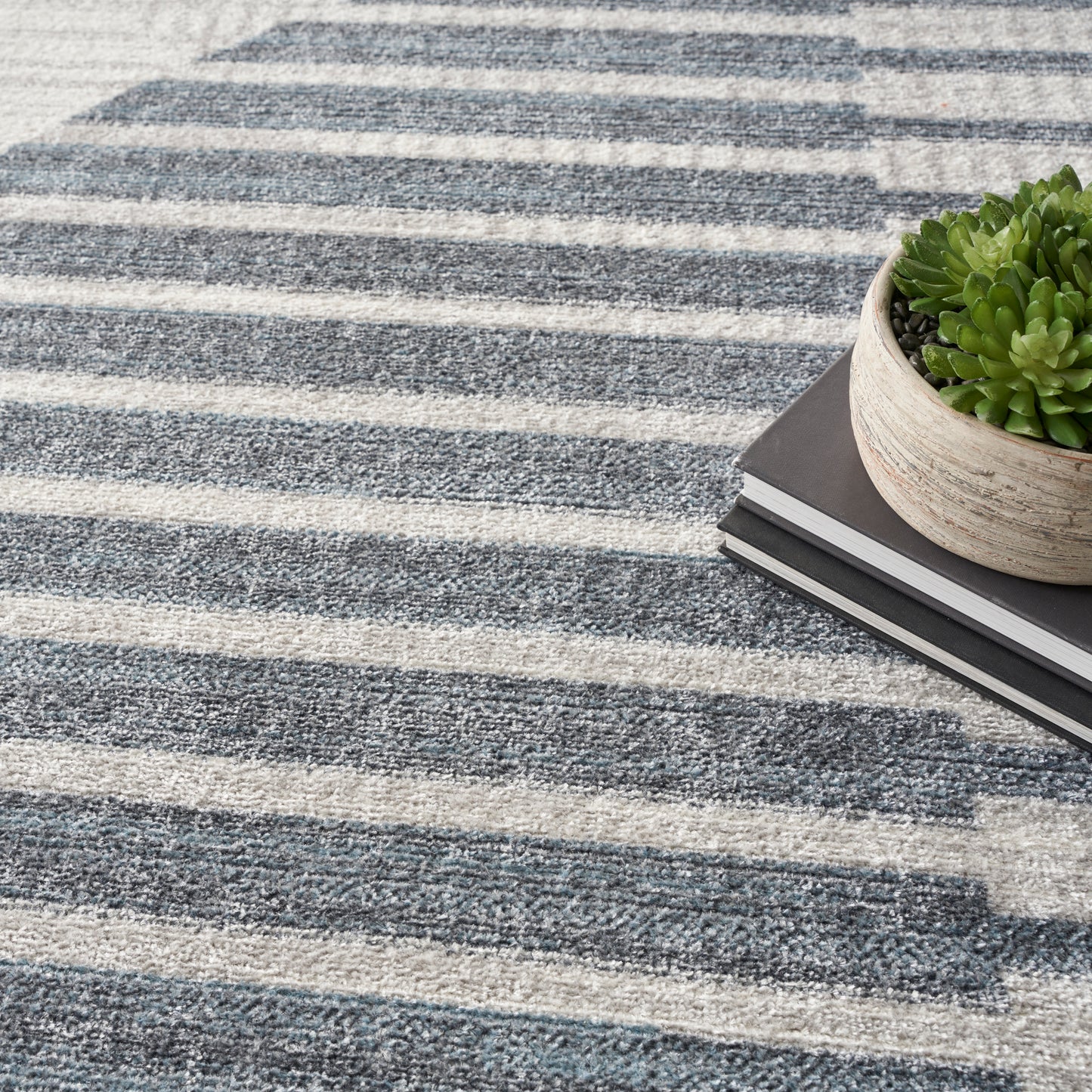 Blue and gray striped textured rug with a beige potted succulent atop stacked notebooks.