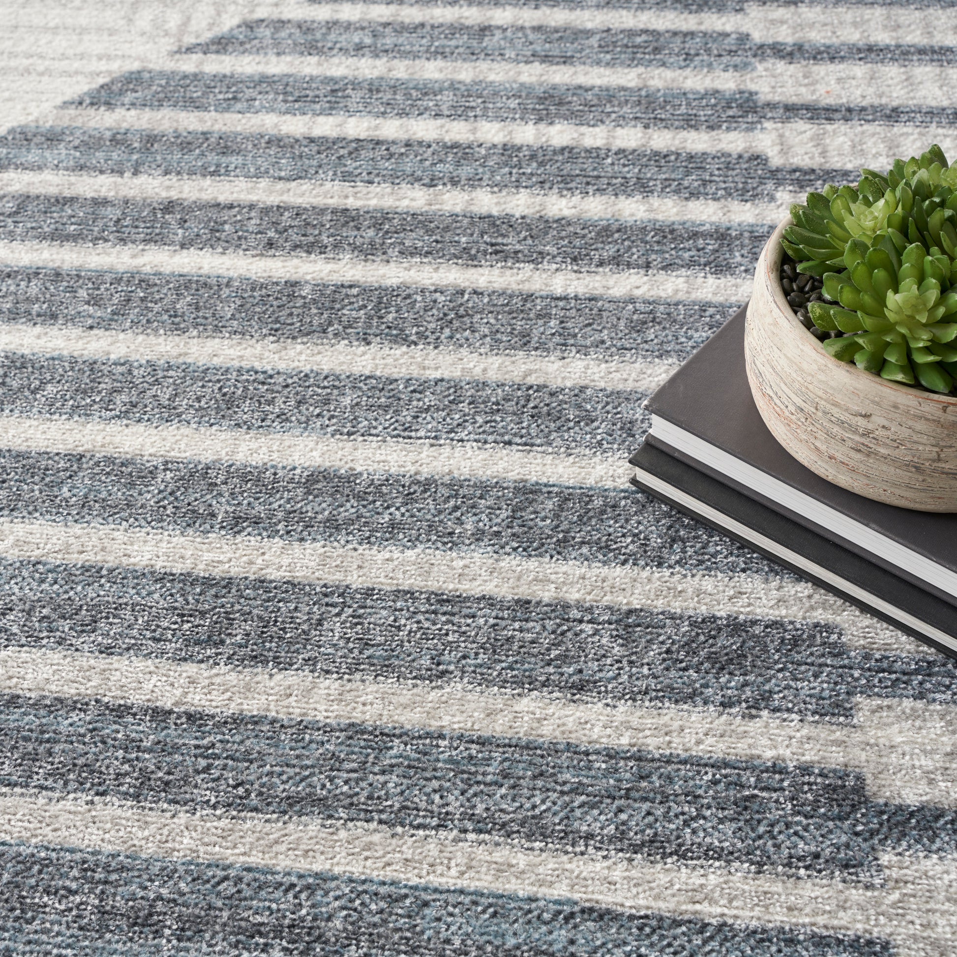 Blue and gray striped textured rug with a beige potted succulent atop stacked notebooks.