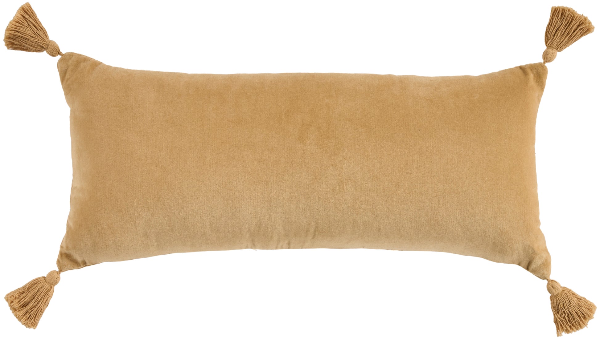 Seafoam velvet rectangular throw pillow with tassels at each corner.