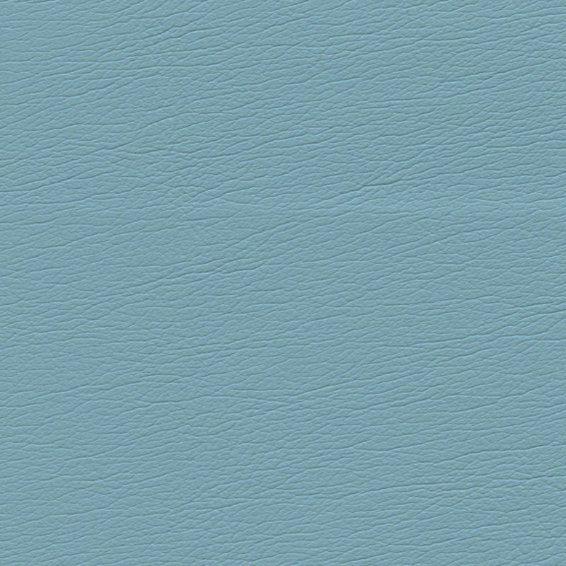 SCHUMACHER  ULTRALEATHER ULTRALEATHER WOVEN WOVEN CYAN   - 291-2553