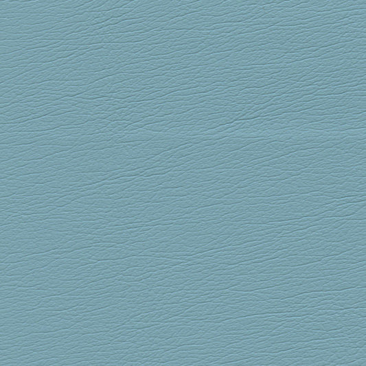 SCHUMACHER  ULTRALEATHER ULTRALEATHER WOVEN WOVEN CYAN   - 291-2553