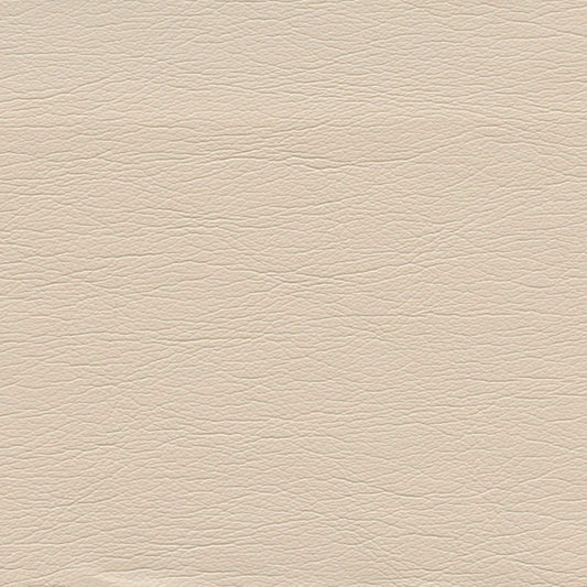 SCHUMACHER  ULTRALEATHER ULTRALEATHER WOVEN WOVEN CHAMPAGNE   - 291-3719