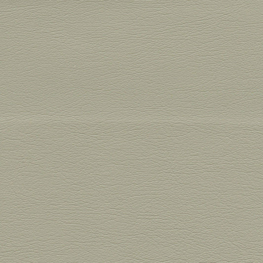 SCHUMACHER  ULTRALEATHER ULTRALEATHER WOVEN WOVEN DRIFTWOOD   - 291-3729