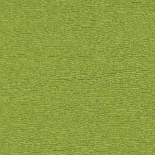 SCHUMACHER  ULTRALEATHER ULTRALEATHER WOVEN WOVEN PARROT   - 291-4460