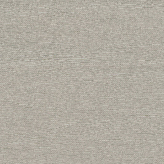 SCHUMACHER  ULTRALEATHER ULTRALEATHER WOVEN WOVEN PELICAN   - 291-5676