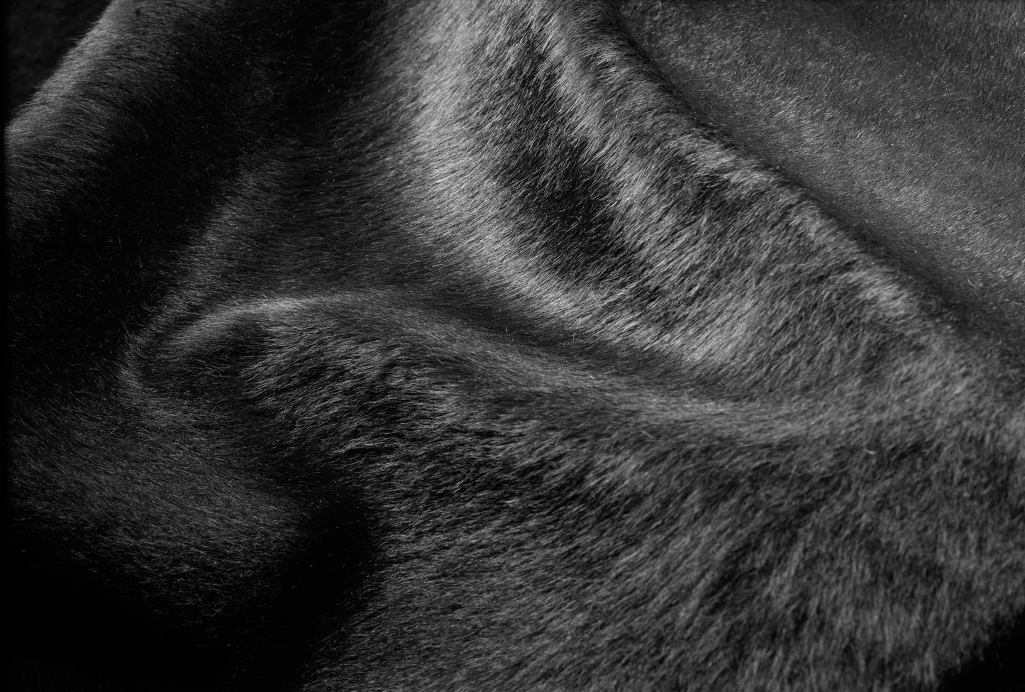 6' X 7' Off White Cowhide Cowhide Print Handmade Area Rug