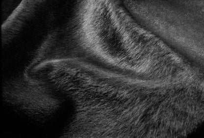 6' X 7' Off White Cowhide Cowhide Print Handmade Area Rug