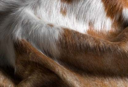 6' X 7' Brown And White Cowhide Handmade Area Rug