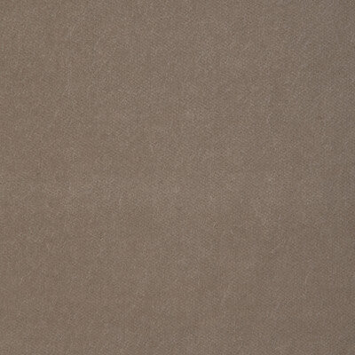 KRAVET DESIGN VELVET TEXTURE BEIGE,BEIGE,BEIGE   - 29431.1616.0